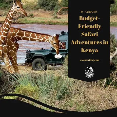 Best Budget-Friendly Safari Destinations in Kenya for 2026